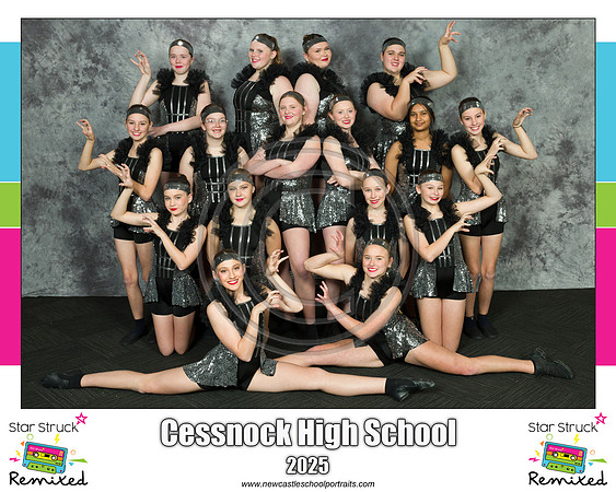 Cessnock HS 2