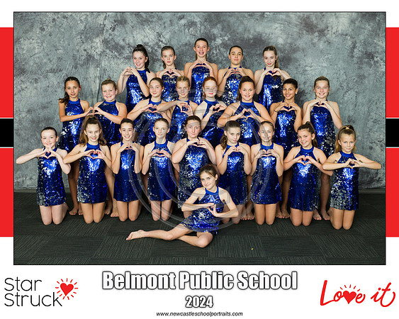 Belmont PS copy
