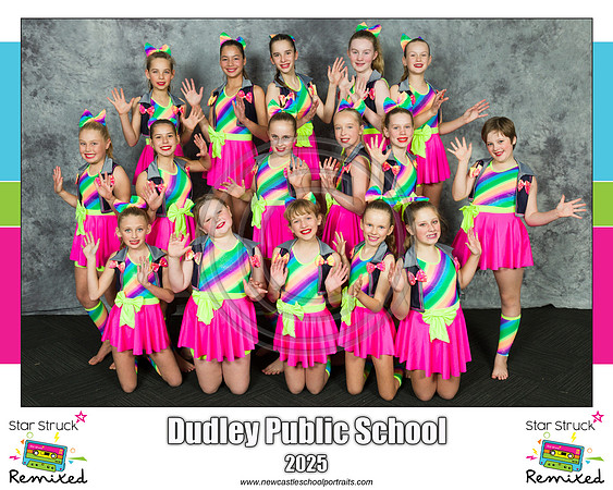 Dudley PS