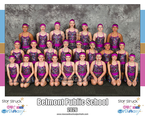 Belmont PS 2