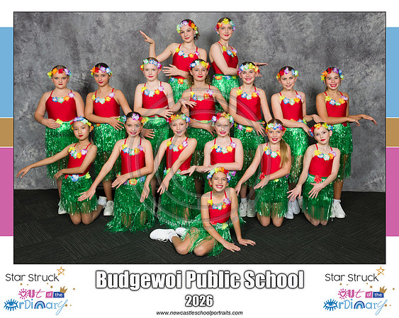 Budgewoi PS