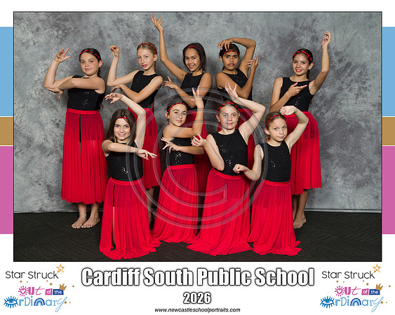Cardiff South PS 3