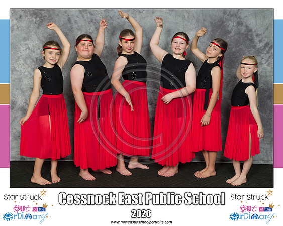 Cessnock East PS 1