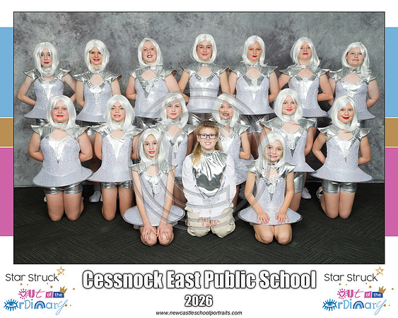 Cessnock East PS 2