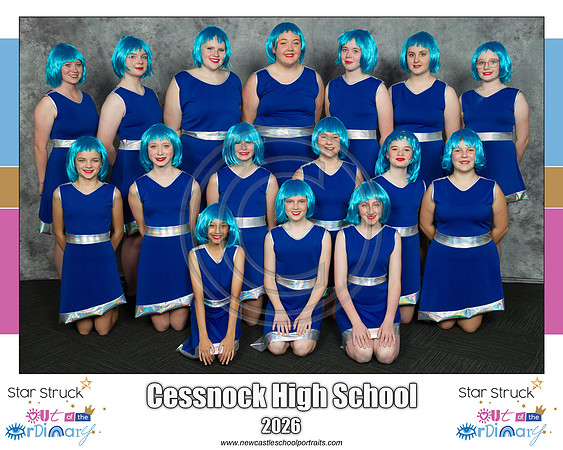 Cessnock HS 3