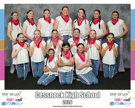 Cessnock HS 4