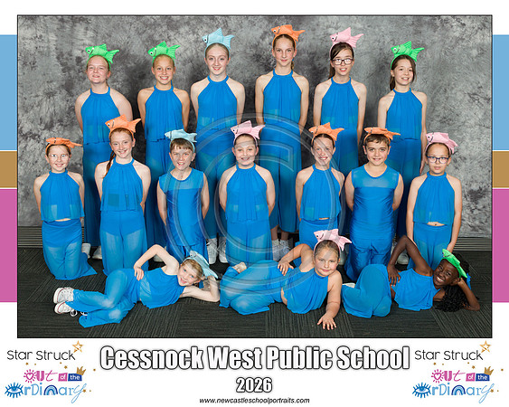 Cessnock West PS 1