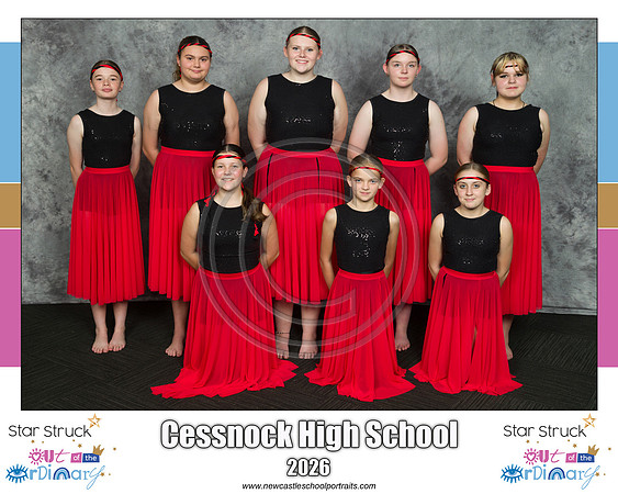 Cessnock HS 2