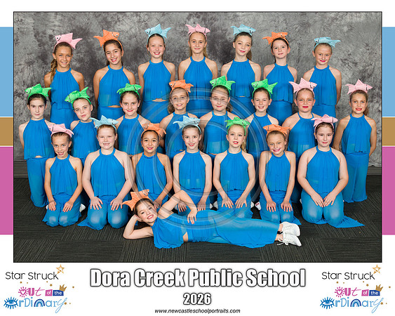 Dora Creek PS 2