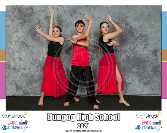 Dungog HS 1