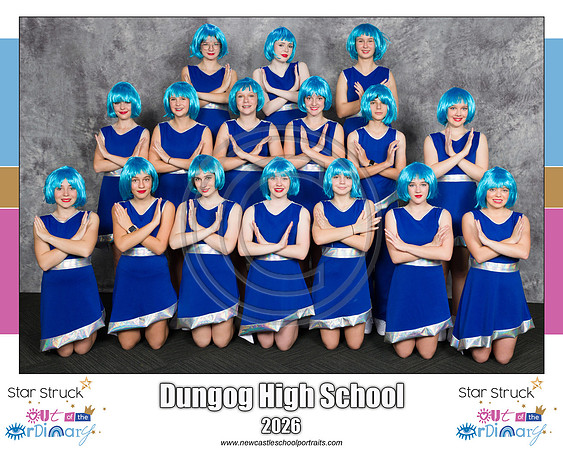 Dungog HS 3