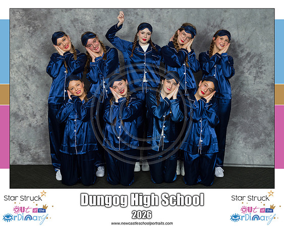 Dungog HS 2