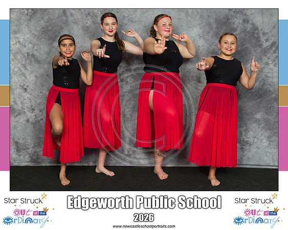 Edgeworth PS 4