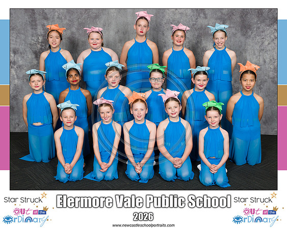 Elermore Vale PS