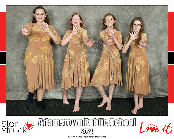 Adamstown PS 2 copy