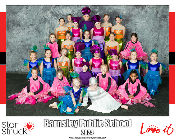 Barnsley PS copy