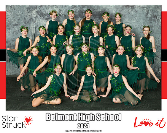 Belmont HS green
