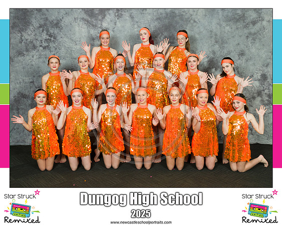Dungog HS 2