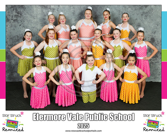 Elermore Vale PS