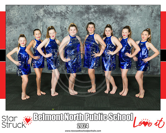 Belmont Nth PS copy