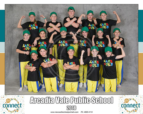 Arcadia Vale P Game Over