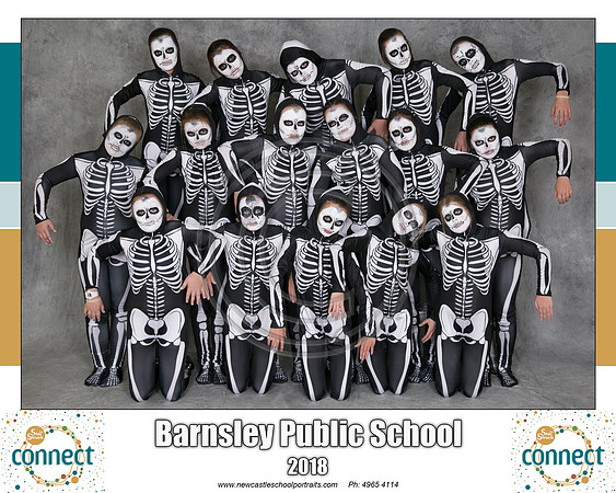 Barnsley P Skeleton