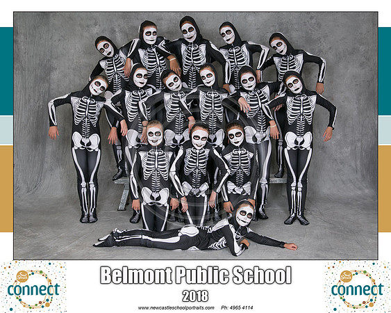 Belmont P Skeleton