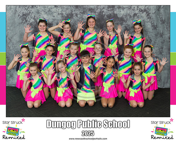 Dungog PS