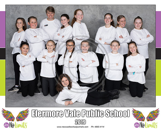 Elermore Vale P Choir