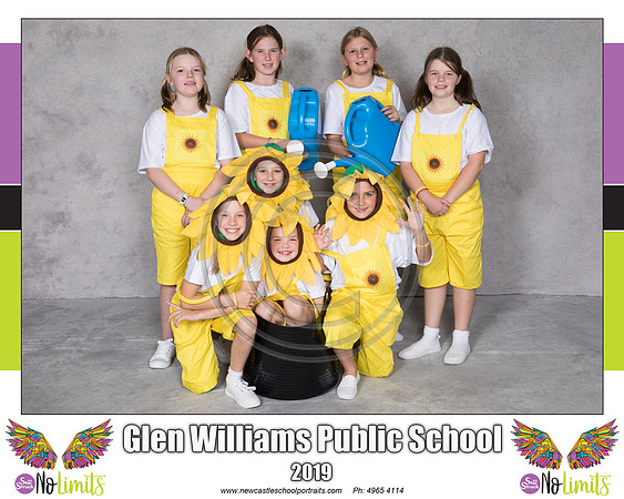 Glen Williams P - Sunflowers