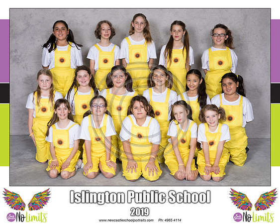 Islington P - Sunflowers