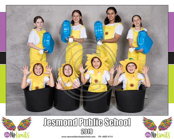 Jesmond P - Sunflowers