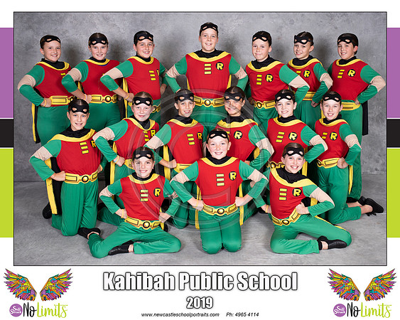 Kahibah_PS_Robin