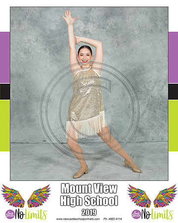 Mount View H - Solo