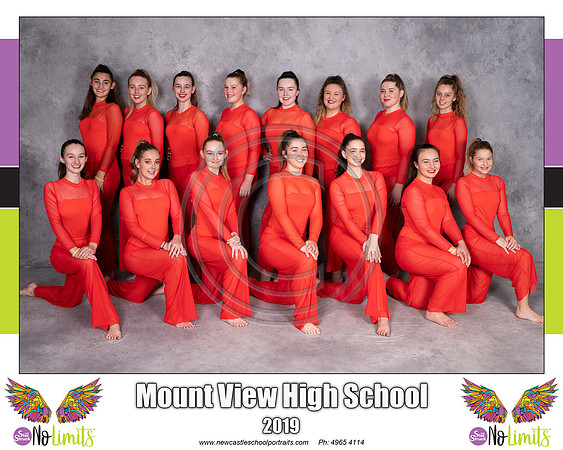 Mount_View_HS_Orange