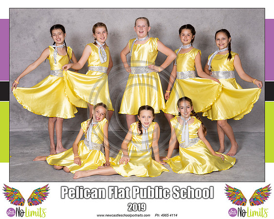 Pelican_Flat_PS_Yellow