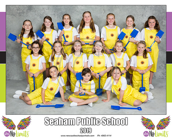 Seaham P - Sunflowers