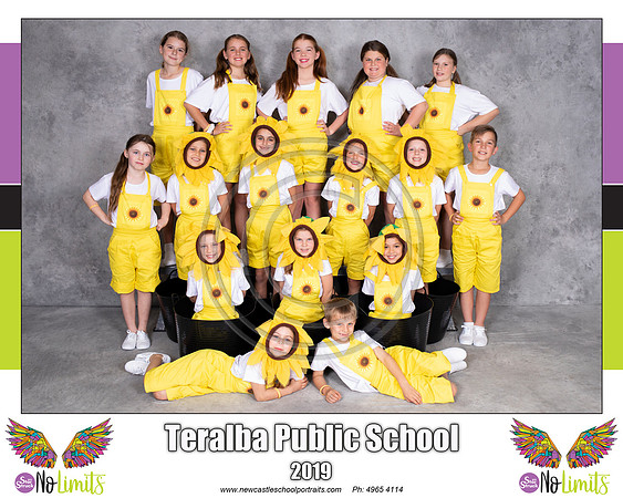 Teralba P - Sunflowers