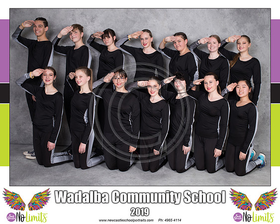 Wadalba Comm S - Black & Silver