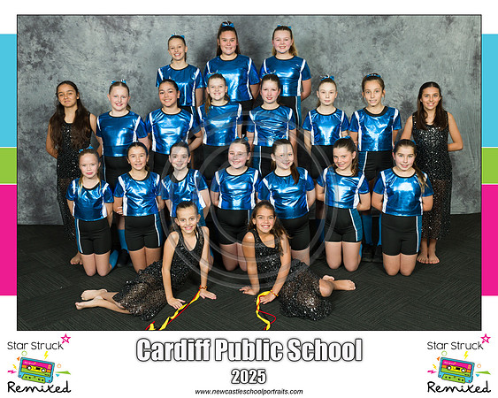 Cardiff PS 2