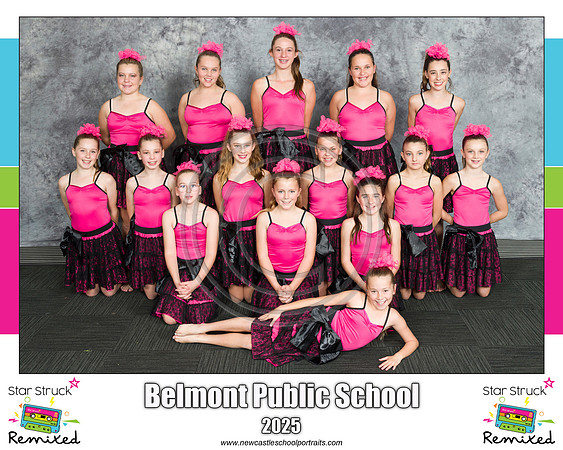 Belmont PS 2