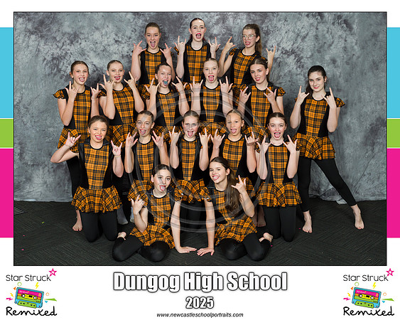 Dungog HS 3